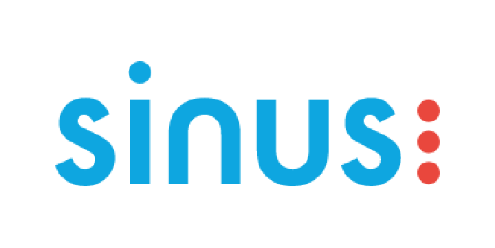 Logo of Sinus Institut, partner of FlexSol Solutions.